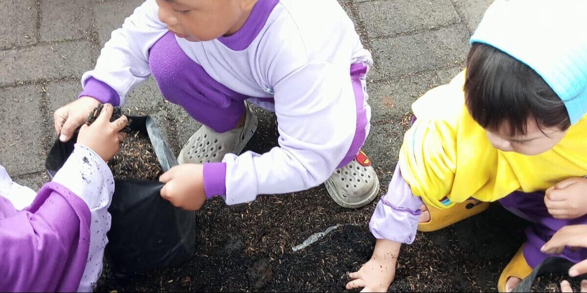 Sekolah Penghafal Quran Anak Usia Dini - Berbasis Alam